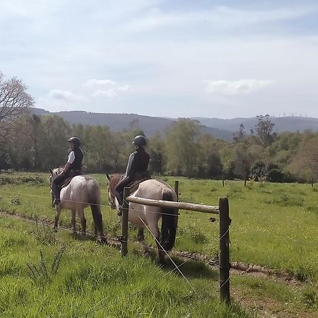 Granja Labrada: Alojamiento con caballos Manon Exterior foto
