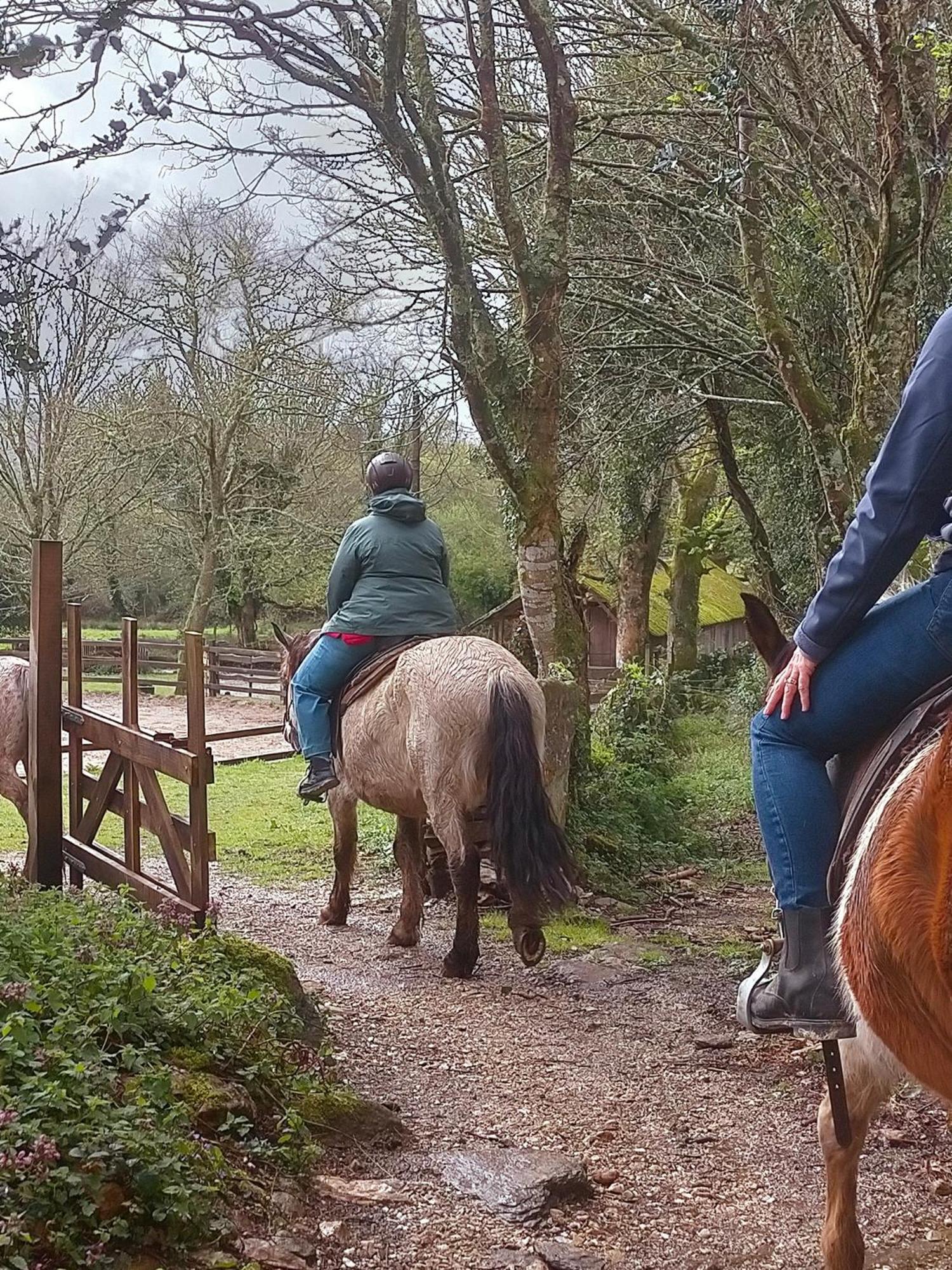 Granja Labrada: Alojamiento con caballos Manon Exterior foto